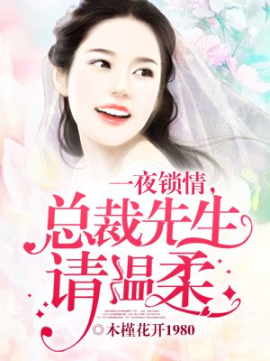 一夜锁情,总裁先生请温柔全文阅读