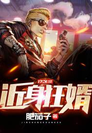 近身狂婿全文阅读