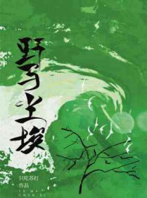 野马尘埃全文阅读