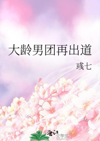 大龄男团再出道全文阅读