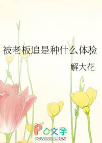 被老板追是种什么体验全文阅读