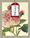 几度夕阳红全文阅读