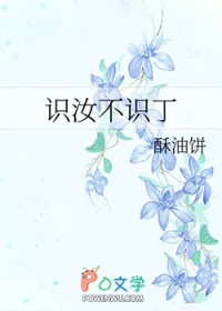 识汝不识丁全文阅读