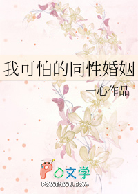 我可怕的同性婚姻全文阅读