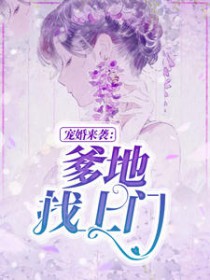 沐晴天景司寒全文阅读