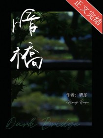 暗桥全文阅读