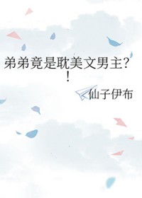 弟弟竟是耽美文男主全文阅读