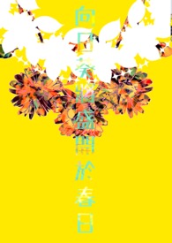 向日葵将盛开于春日全文阅读