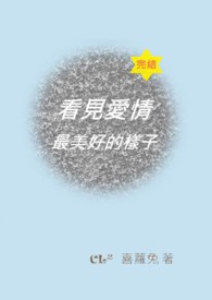看见爱情最美好的样子全文阅读