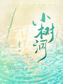 小树洞全文阅读