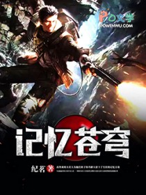 记忆苍穹全文阅读